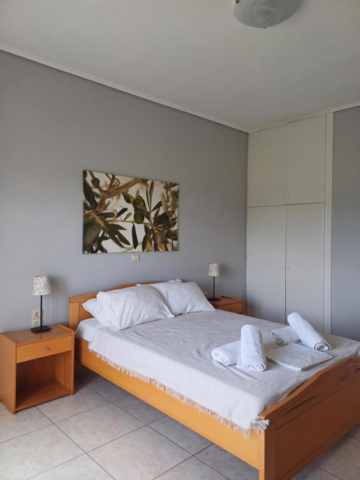 Aktaion Apartment Artemisio